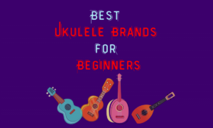 Best Ukulele Brands